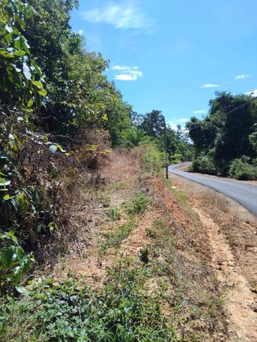 Tanah Sawit Dan Durian Non Bumi Kuala Pilah 1