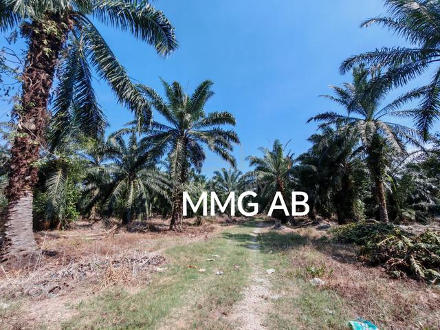 5 Acre Pekan Teluk Kuala Langat Agriculture Land for sale 🌱🌱 1