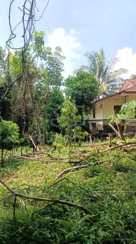 Tanah Utk Dijual KUALA KANGSAR 1
