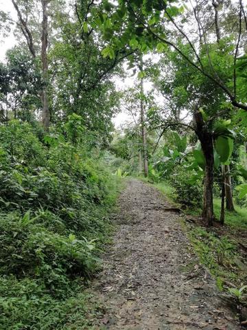 Tanah Dusun atas bukit di Cherok Tokun 2