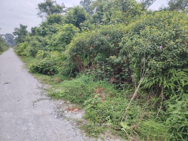 FREEHOLD GOOD BUY😊NON BUMI 😊1.97ac KPG PAK DOLAH KMTG TOLL 1