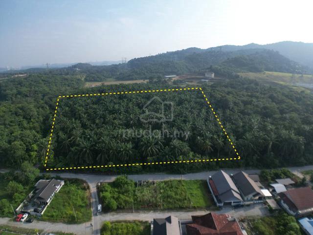 Freehold Tanah Pertanian Jenderam Hulu Dengkil - 4.42 hectare 1