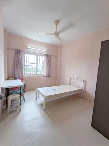 Fully Furnished Penang Tanjung Bungah Room For Rent 1