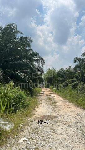 Agriculture Land 2.14Acre‼️Sijangkang Telok Panglima Garang Klang!Sale 1