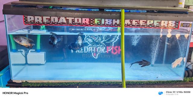 Carousel Image Selected