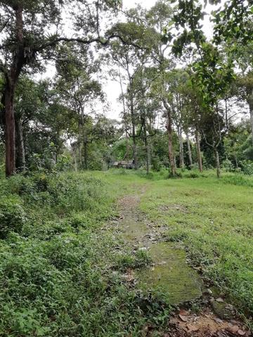 Tanah Dusun atas bukit di Cherok Tokun 5