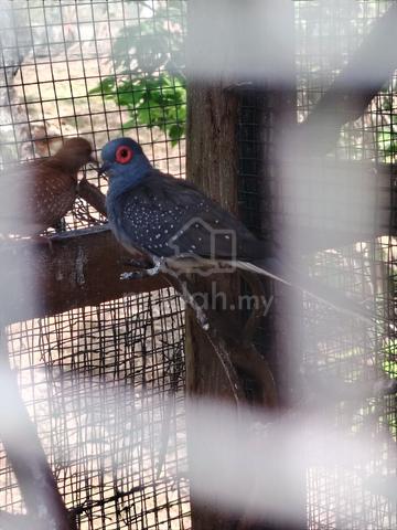 Carousel Image