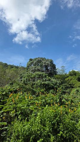Tanah bukit bergeran 1