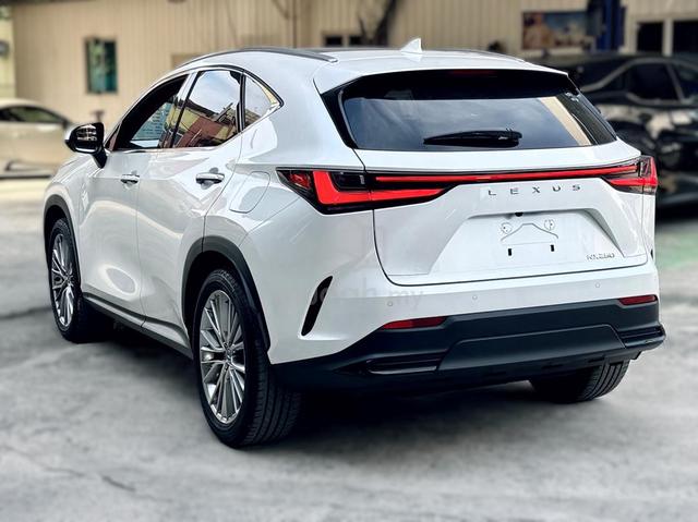 2023 Lexus NX250 2.5 10,000KM (A)Brown Int MUSVIEW - 3