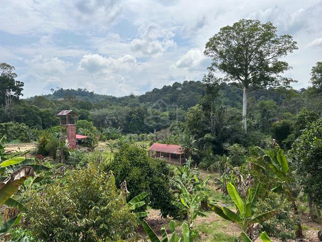 Riverside Freehold Tourist Association Land 4.985ac Below BV 600K Sega 1