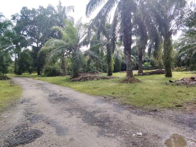 Telok Panglima Garang Land 📌14 Acres 📌Freehold 1