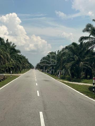 Jalan Kampung Sri Cheeding,Banting Kuala Langat Agriculture Land For S 1
