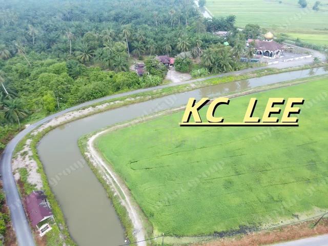 3.65 Acres Agricultural Land For Sale @ Selinsing , Kerian , Perak 1