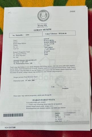tanah pertanian kelapa sawit 1