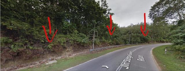 Main Road Titi Perandong 5.05 acre flat agricultural land For Sale 1