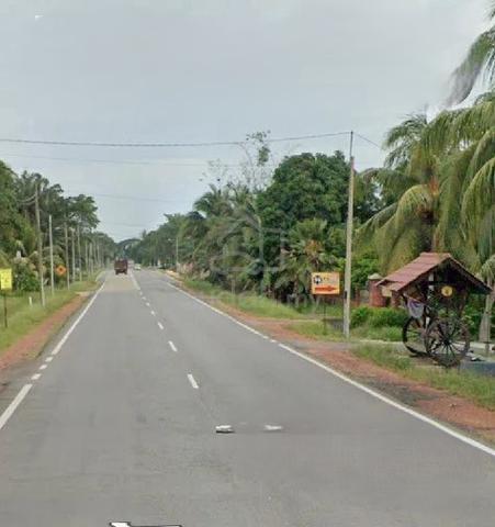 Palm Oil Lana At Area Seri Menanti, Muar 1