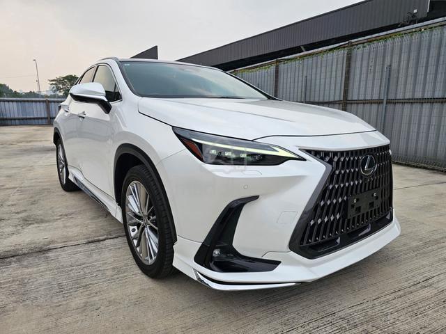 2022 Lexus NX250 Ver L P/Roof Modelista 4Cam OFFER - 1