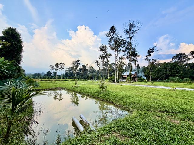 Leisure Farm For Sale 1