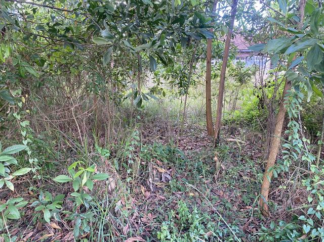 lot semi d paya resak bukit payong 1