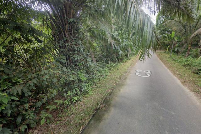 Raub, Sega, Pahang, Freehold, Non-Bumi, 2.63 Acres Land for Sale 1