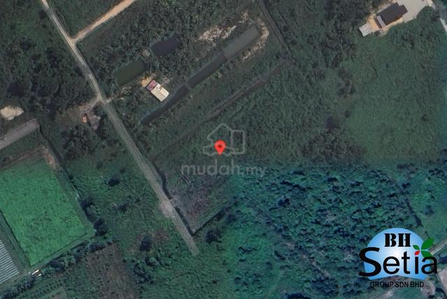 For Sale - Agriculture Land Penor, Kuantan Pahang 1