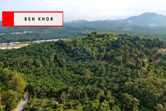 4.63 Acres | MainRoad| Jalan Gajah Mati | Machang Bubuk | BM | PENANG 1