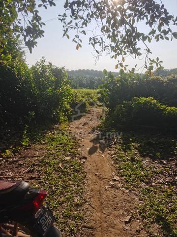 Tanah Pertanian Luas di Mukim Plentong, Johor Bahru!  1