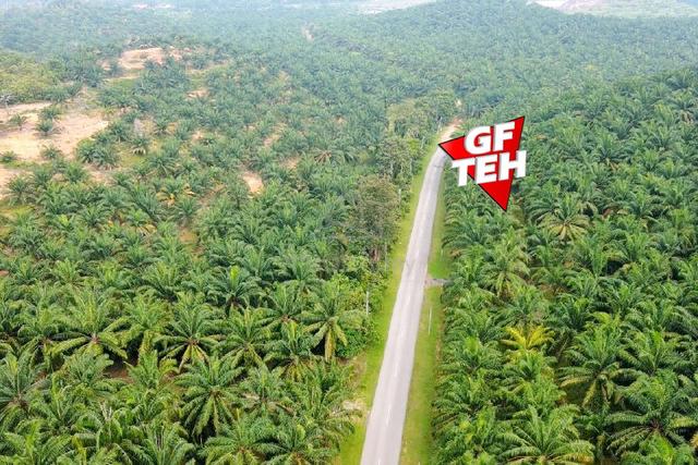 19.24 acre Freehold Main Road Industrial Land | Baling | Kedah 1