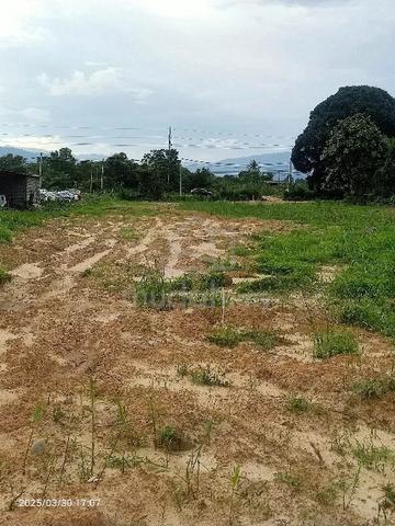 khas untuk disewa 1
