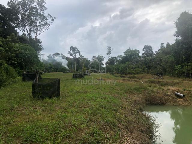 Tanah Dusun untuk dijual Dendang Dungun 1