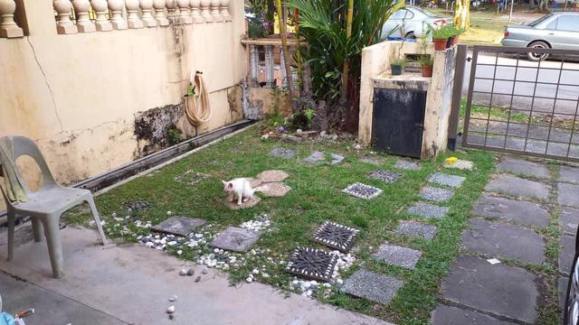 2 Storey Terrace Taman Bukit Saga Shah Alam 1