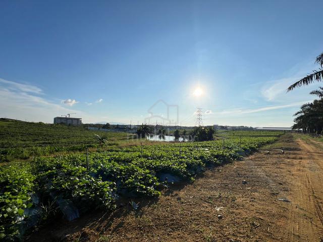 Seelong 10.31acre Zoning Industrial Land Road Side Near PMU & Factory 1