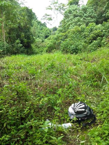 KK Kokol Hill Land For Resort Homestay Menggatal Inanam Poring 4