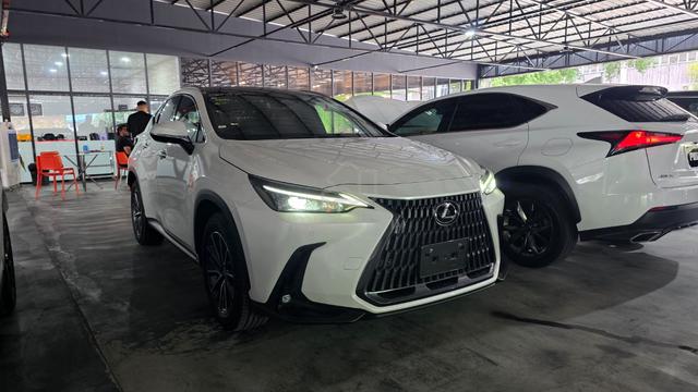 2023 Lexus Nx250 2.5 P.R HUD 4CAM DIM BSM - 1