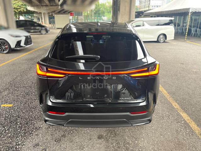 2024 Lexus NX250 2.5 LUXURY / 7k km / RED Leather - 5