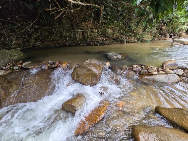 (ANAK SUNGAI DI TANAH! PELBAGAI TANAMAN) Tanah Pertanian, Janda Baik 4