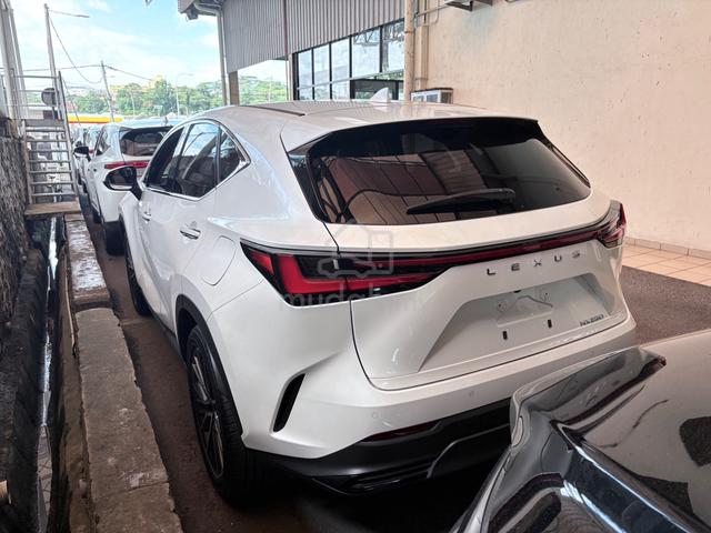 2024 Lexus NX250 2.5 VERSION L 360 PB BSM HUD A - 4