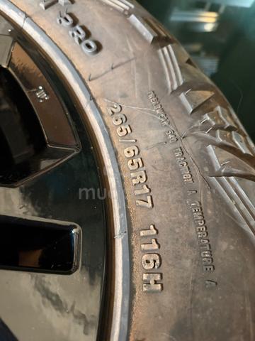 Carousel Image