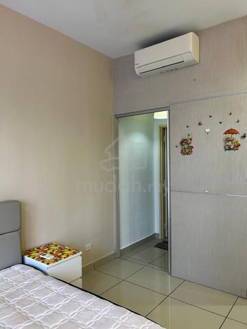OUG Parklane 1