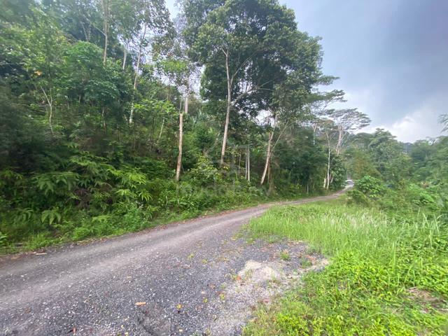 Tanah kediaman Jalan Sungai Pusu, Gombak Freehold Rizab Melayu 1