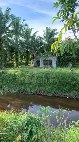 Tanah 3 ekar parit 9 barat sungai besar 1