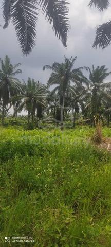 ↔️INTERNATIONAL LAND FOR SALE | PALOH Kluang 1