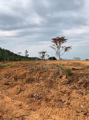 Tanah Yan - geran kongsi - jual bahagian - bawah harga market 1