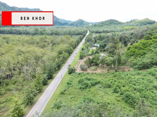 Teakwood | Mainroad| Pokok Jati | 41.26 Acres | Titi Tinggi | Perlis 1