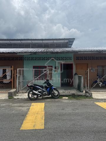 Pokok Assam 1