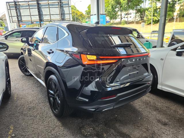 2023 Lexus NX 250 Luxury Red Interior Grade 5A - 5
