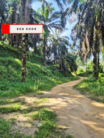 24.9 acres | Agricultural Land | River | Selama | PERAK 1