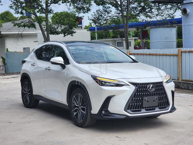 Lexus NX 250 2.5 LUXURY (A) FREE 5 Yr Wty Now 225k - 1