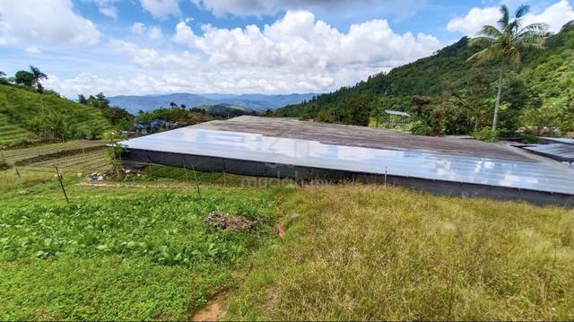 Kundasang Land For Sale 1