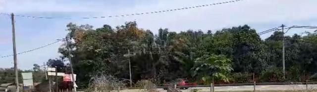 Tanah cantek 1